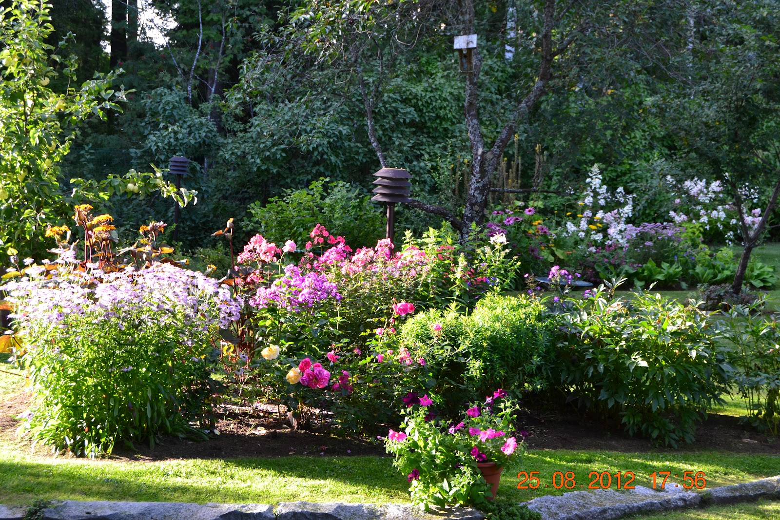 Aurinkoista puutarhanhoitoa – Some gardening in the sunshine