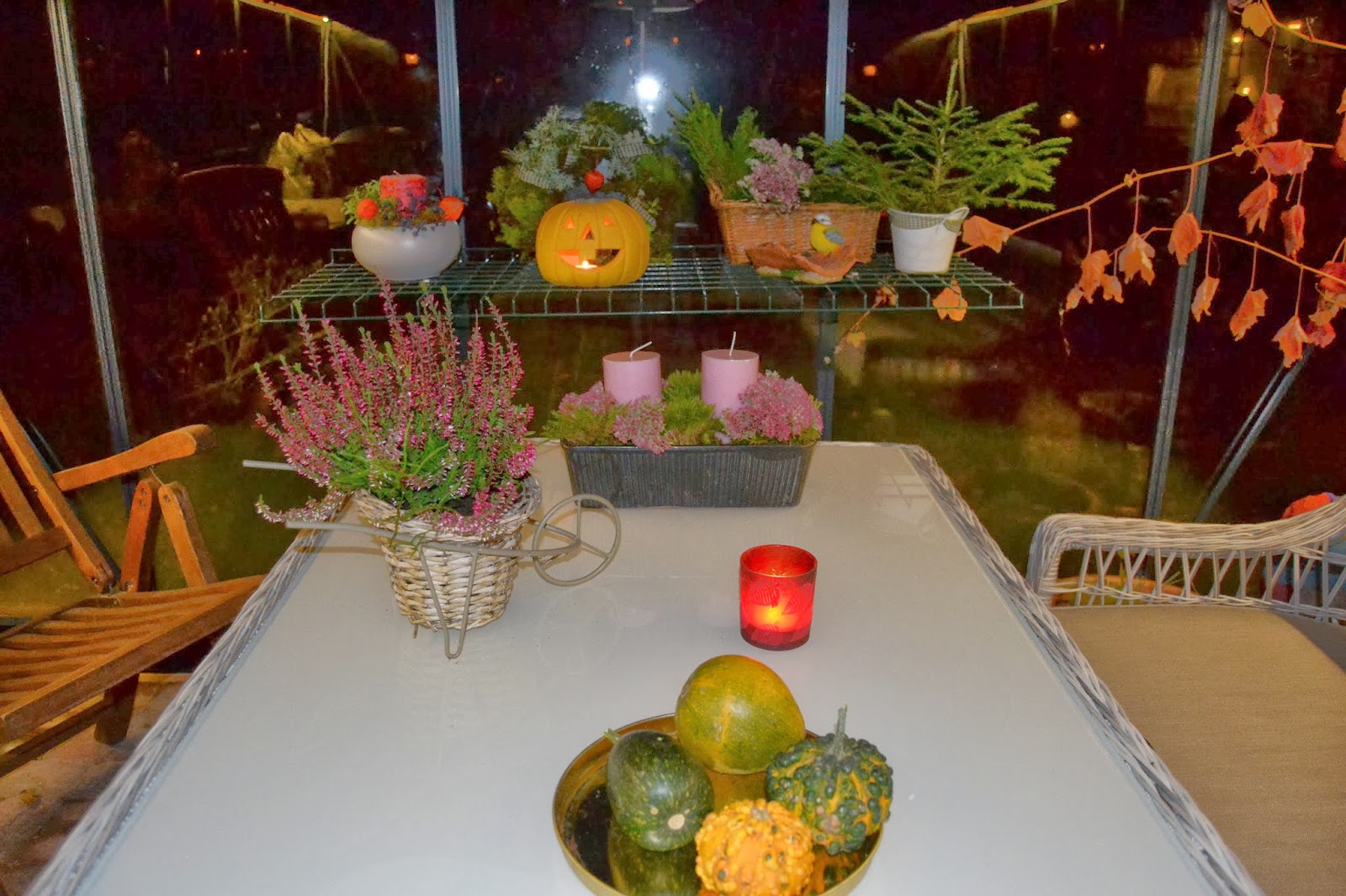 Ilta kasvarissa – Evening in the greenhouse