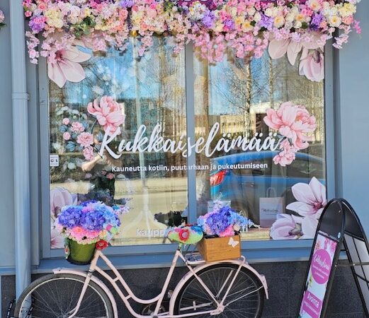 Mikä tekee Lappeenrannan naistenkadusta niin viehättävän?