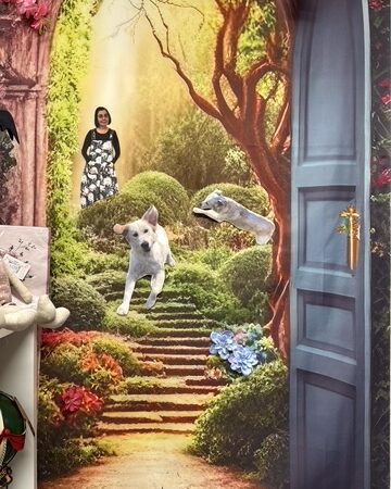 Videokävely nykyisessä puutarhassani