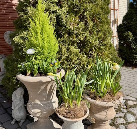 Toinen ihana päivä