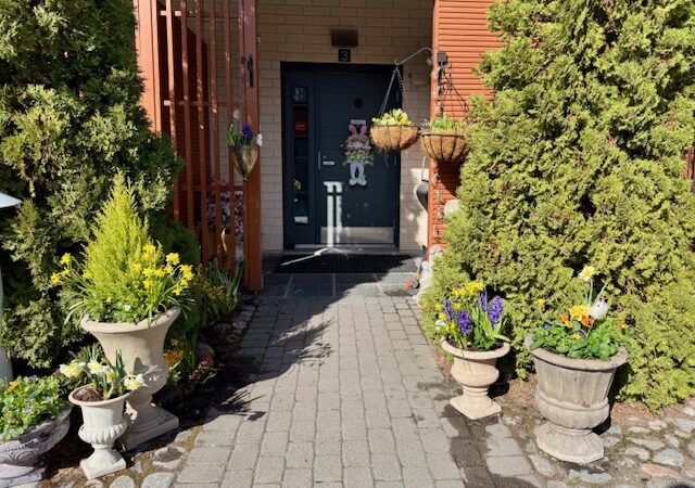 Istutushommissa jälleen