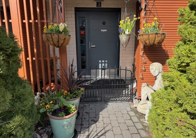 Istutuksia ja kuvauksia