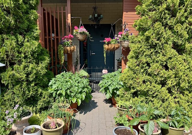 Kohta alkaa potuttaa