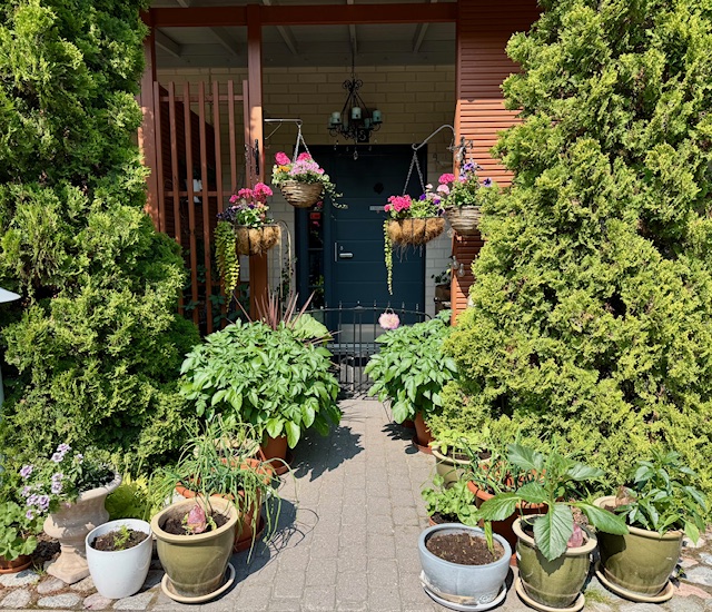 Kohta alkaa potuttaa