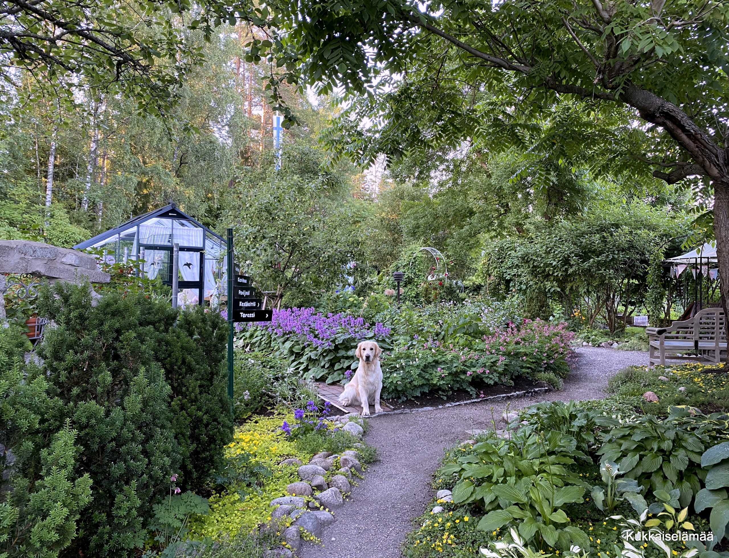 Kukkaiselämää – enemmän kuin kauppa