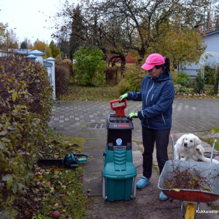 Haketushommia Mikin kanssa