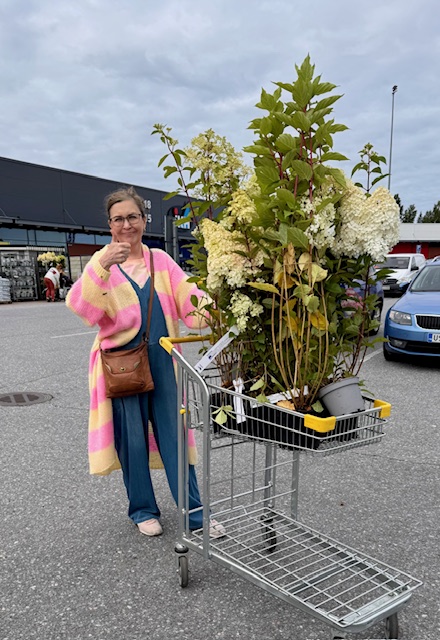 Voihan hortensia – taas se lähti käsistä!