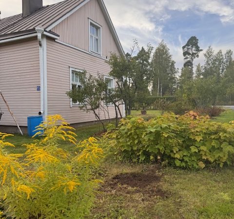 Pihan kulkureitit uusiksi ja istutusalue suuremmaksi