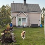 Takapihan aita ja ensimmäinen portti – Mortti pääsi juoksemaan