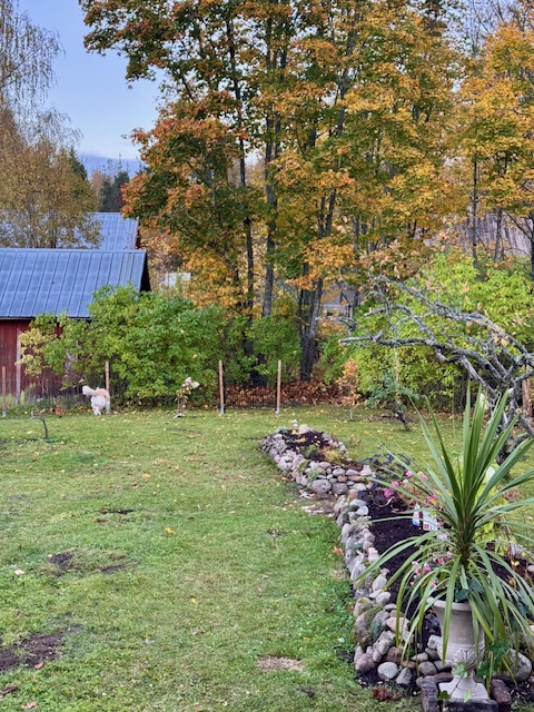 Kukkapenkin kivireunuksen rakentaminen vanhan talon puutarhassa.