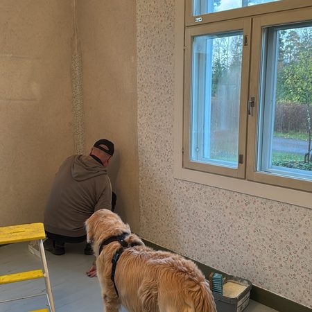 Olohuoneen tapetointi vanhassa talossa vaalealla kukkatapetilla.