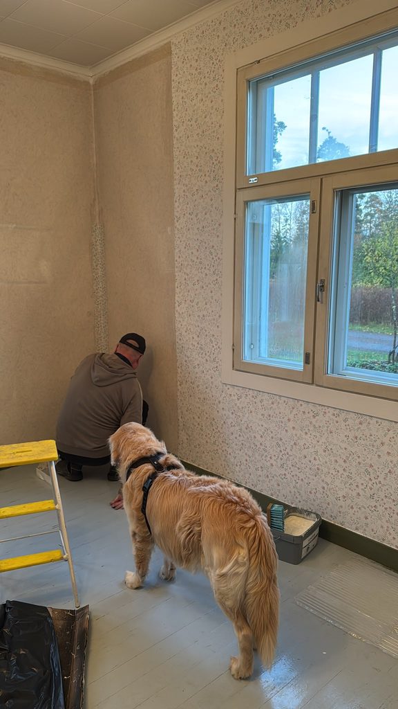 Olohuoneen tapetointi vanhassa talossa vaalealla kukkatapetilla.