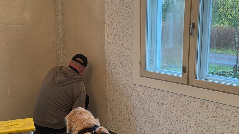 Olohuoneen tapetointi vanhassa talossa vaalealla kukkatapetilla.